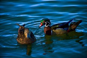 Don't-Take-It-For-Granted